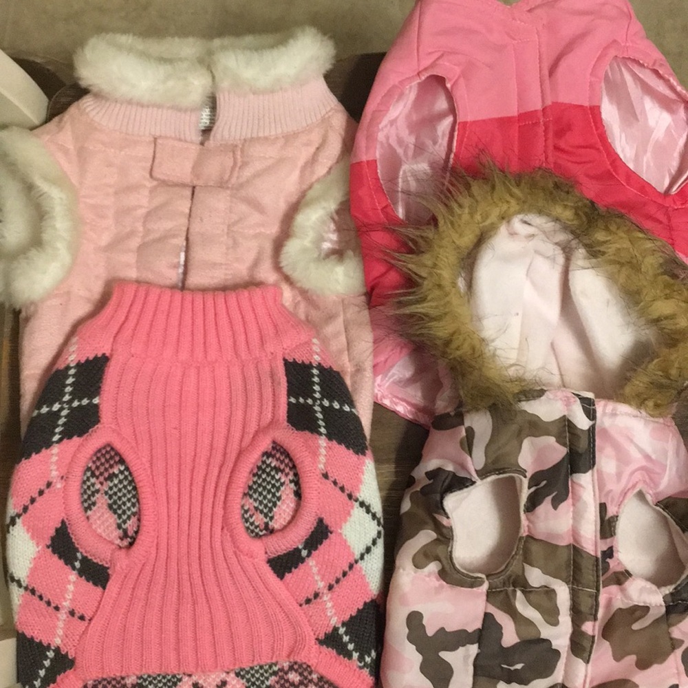 Doggie Apparel